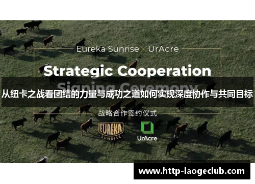 从纽卡之战看团结的力量与成功之道如何实现深度协作与共同目标