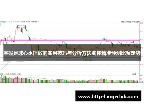 掌握足球心水指数的实用技巧与分析方法助你精准预测比赛走势