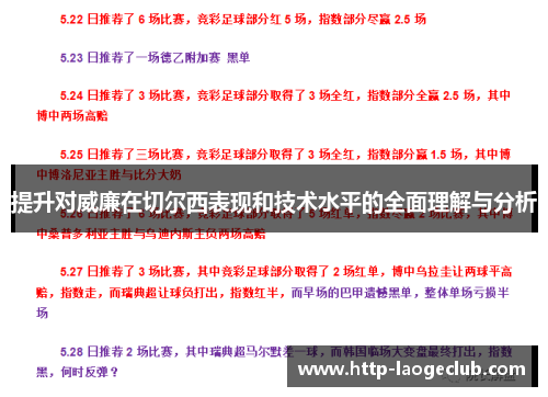 提升对威廉在切尔西表现和技术水平的全面理解与分析