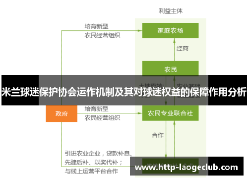 米兰球迷保护协会运作机制及其对球迷权益的保障作用分析