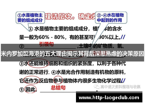 米内罗加盟海港的五大理由揭示其背后深思熟虑的决策原因 米内罗加盟海港的五大理由揭示其背后深思熟虑的决策原因